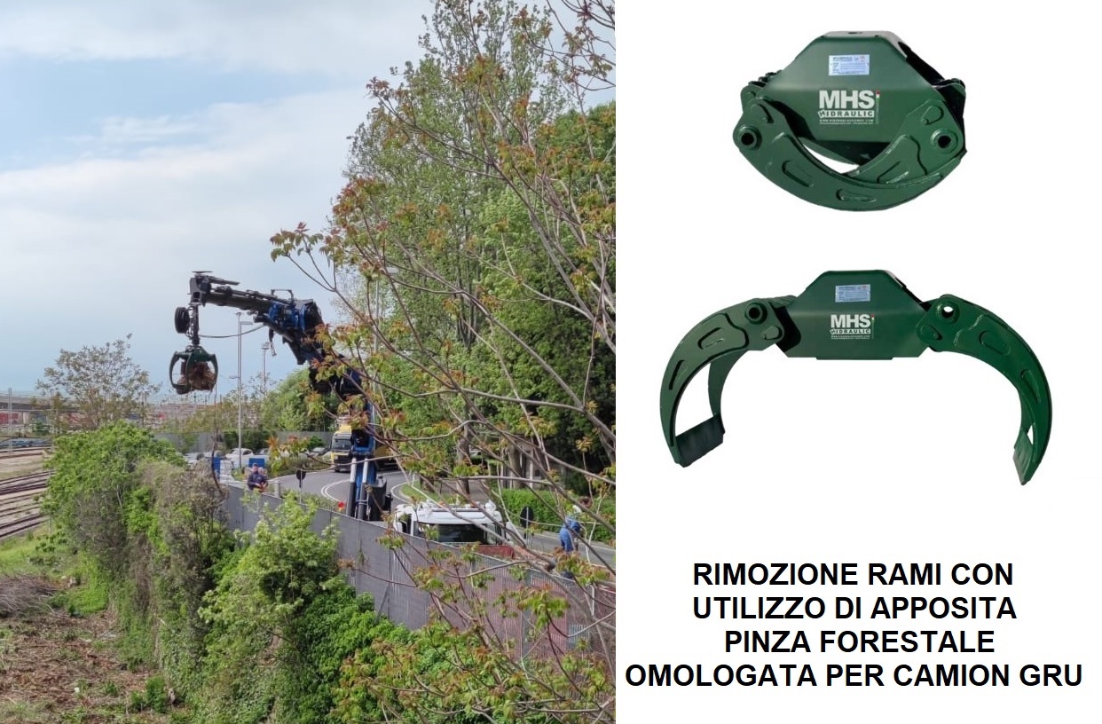 PINZA FORESTALE PER CAMION GRU